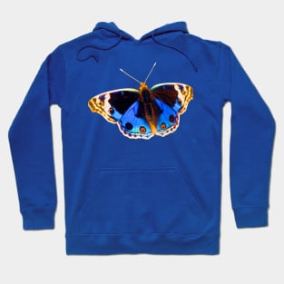 Blue Pansy Butterfly Hoodie